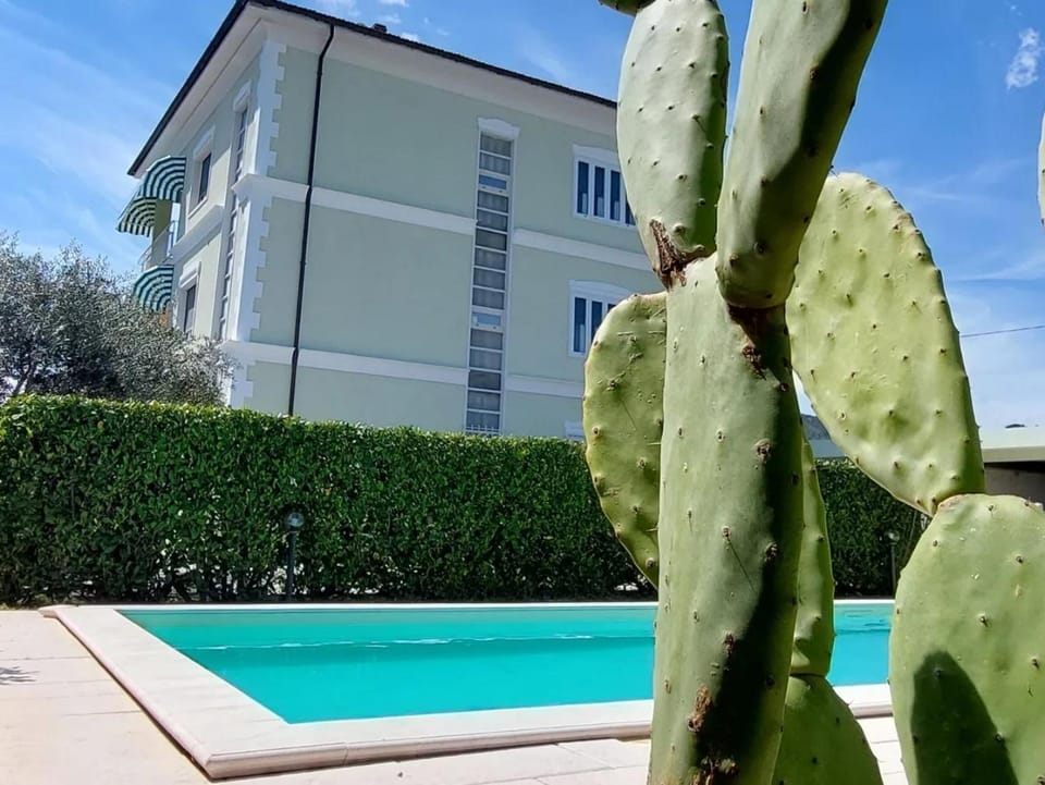 Property building, Pool view, Swimming pool, Swimming pool