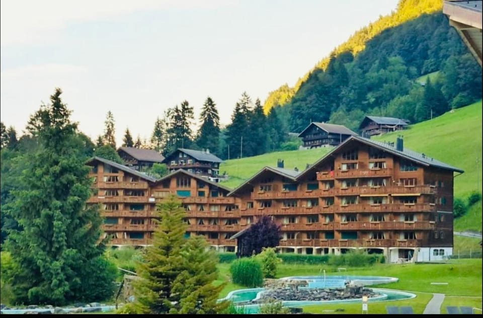 Studio , Val-d’Illiez Apartment in Haute-Savoie