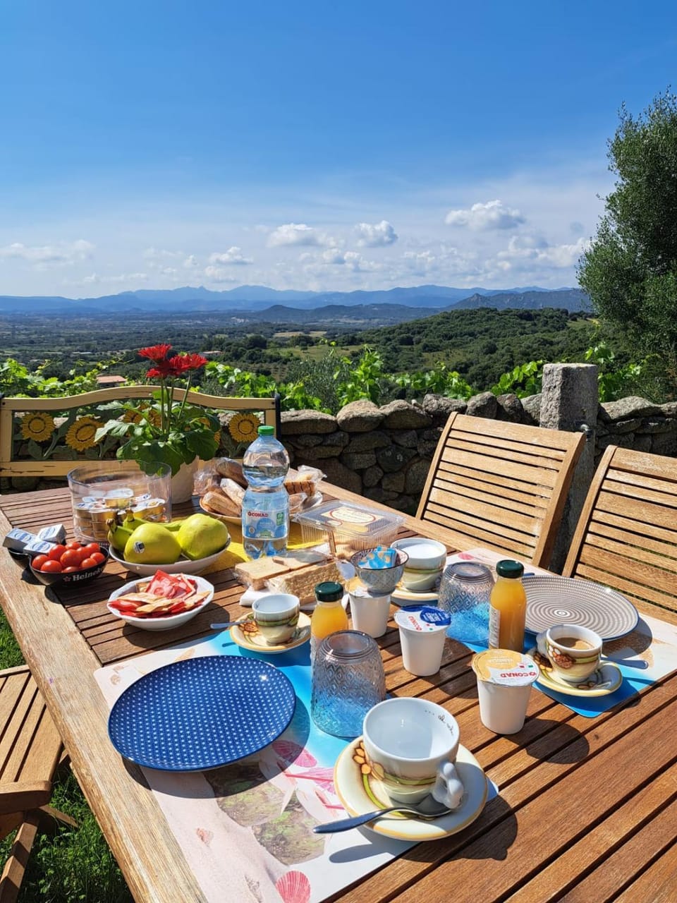 B&B Bellavista Bed and Breakfast in Sardinia