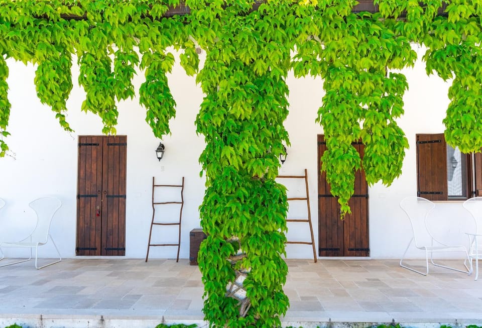 Shanti Home Bed and Breakfast in Province of Foggia