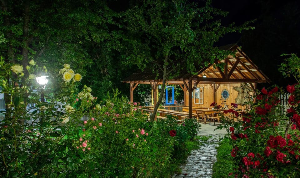 Night, Garden view