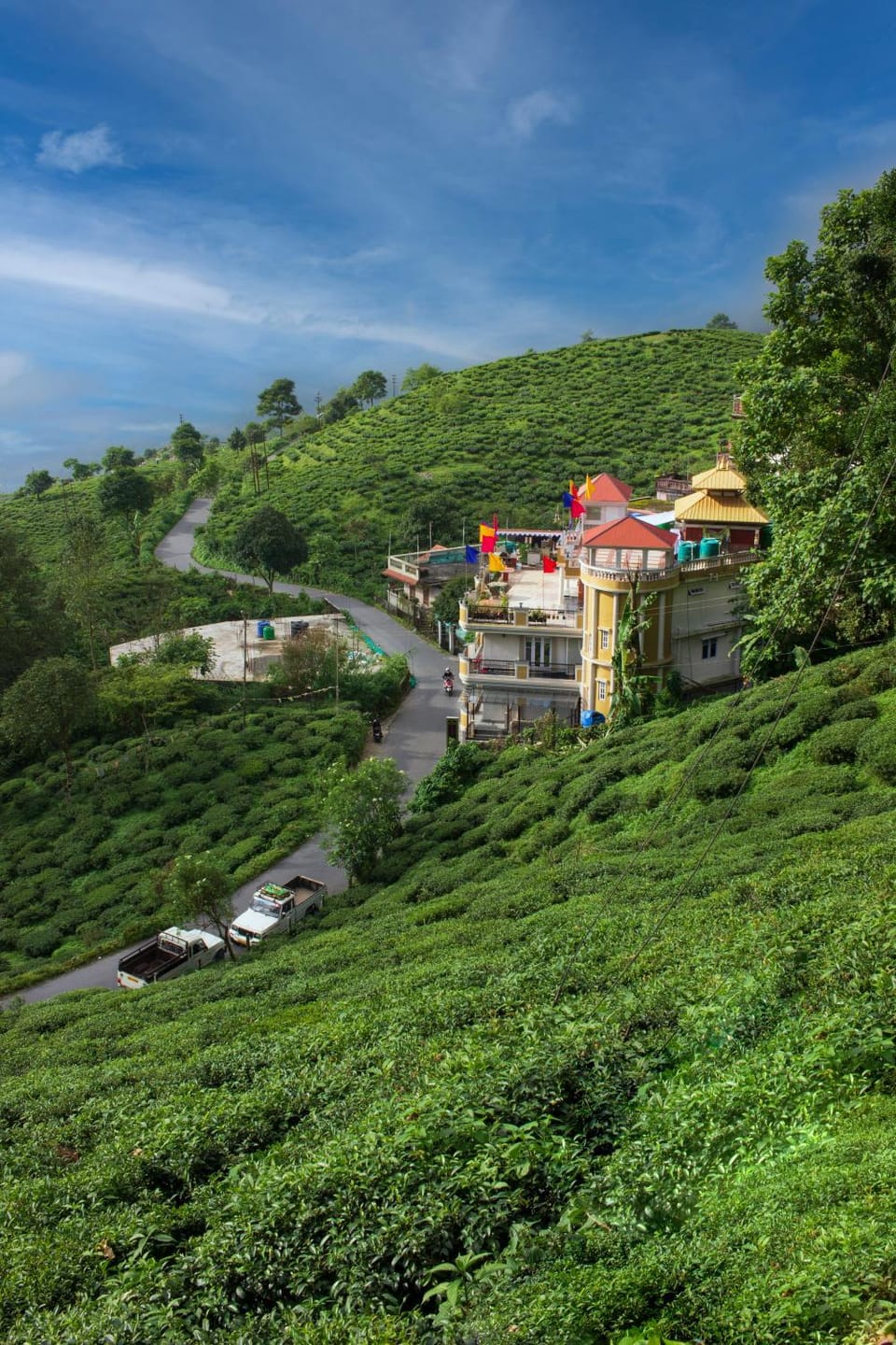 Neighbourhood, Natural landscape
