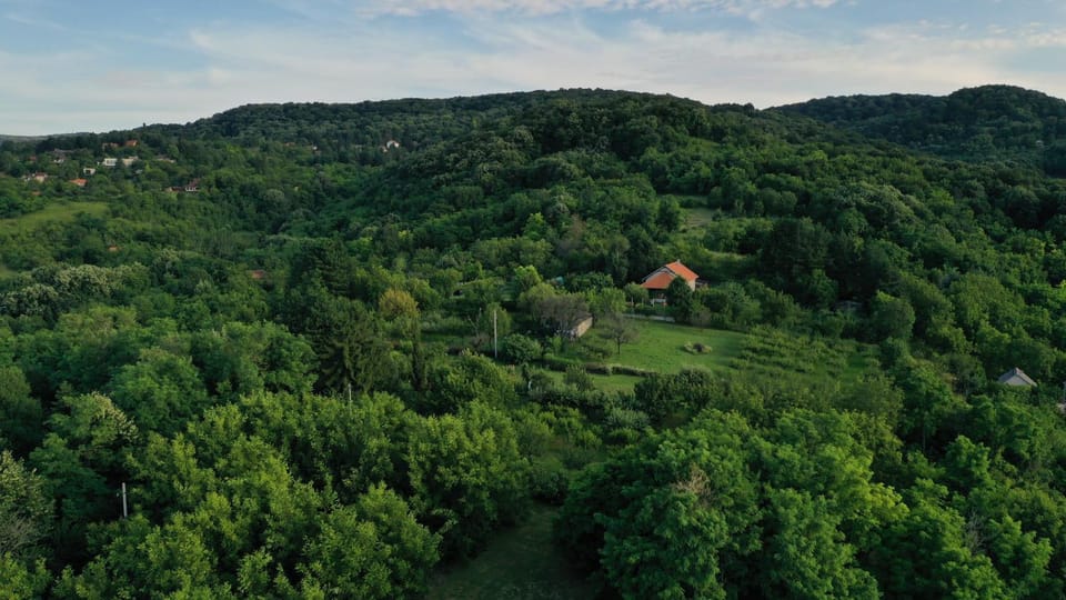 Property building, Natural landscape, Bird's eye view
