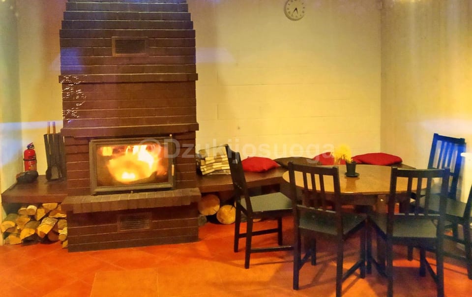 Dining area, fireplace