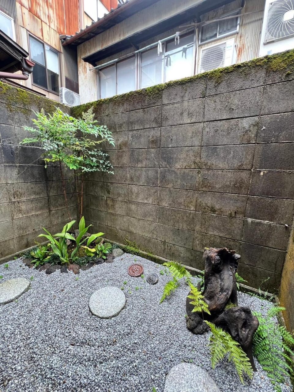 Day, Garden, Garden view