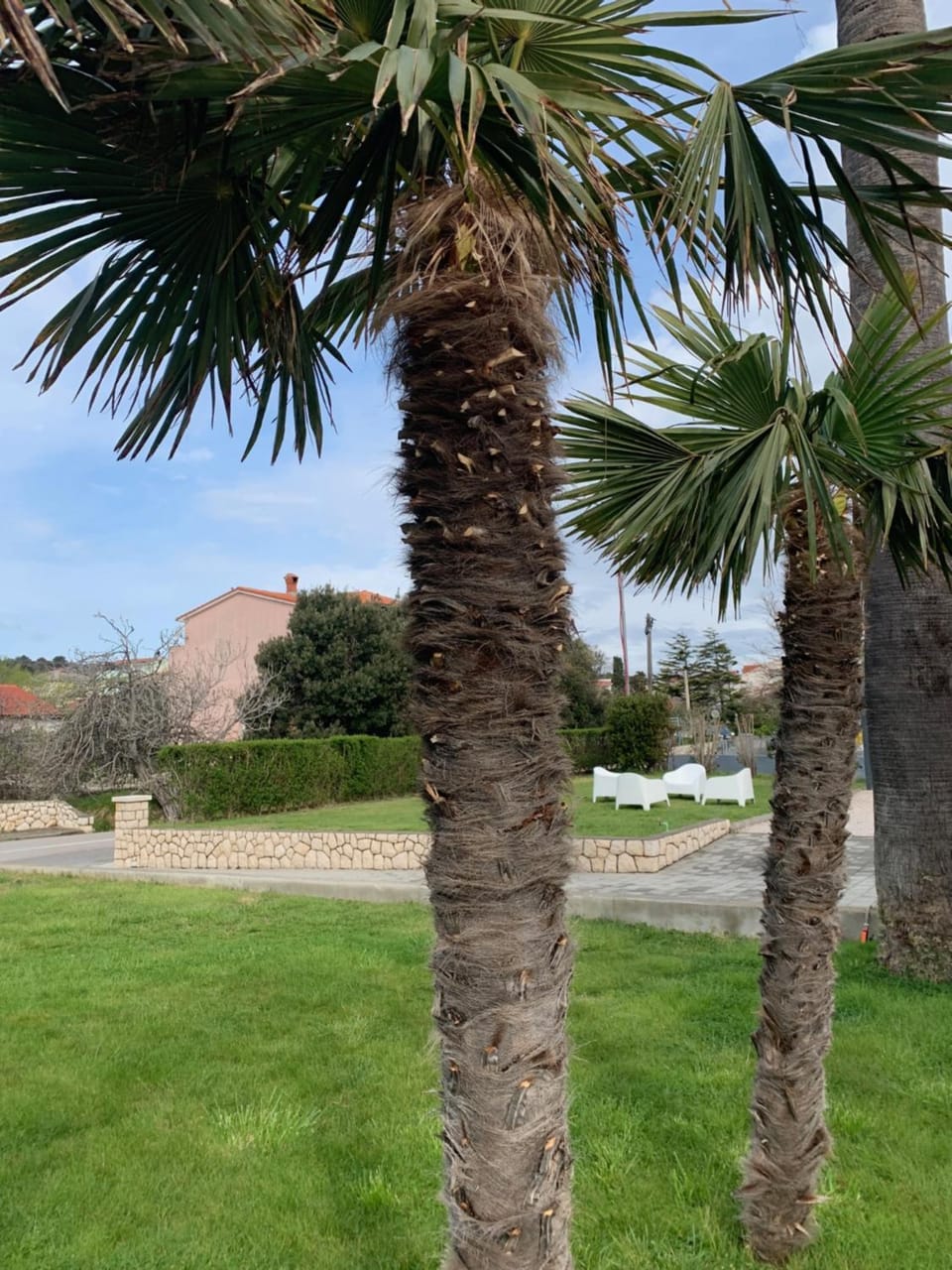 Property building, Natural landscape, Garden, Garden view