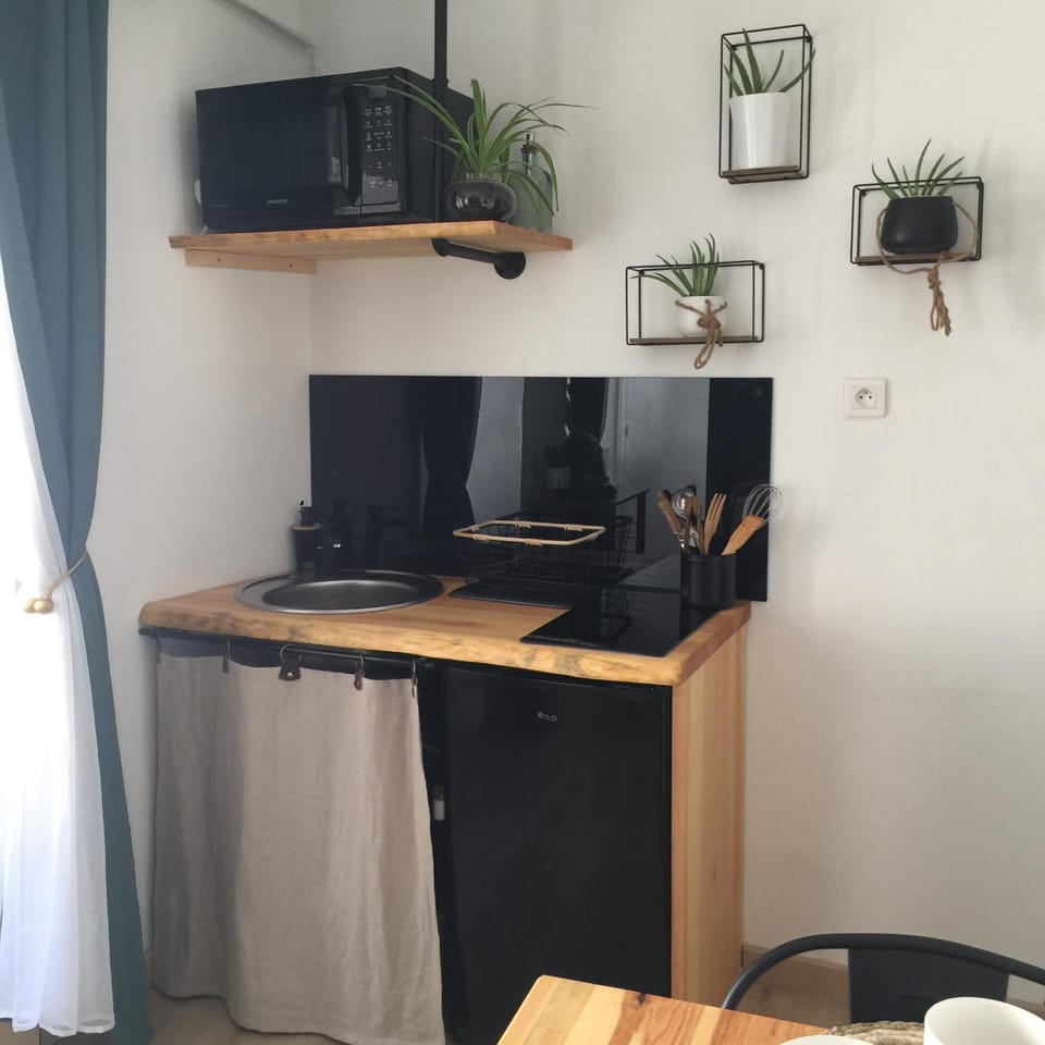 Joli T2 au pied du Rocher! Apartment in Auvergne-Rhône-Alpes