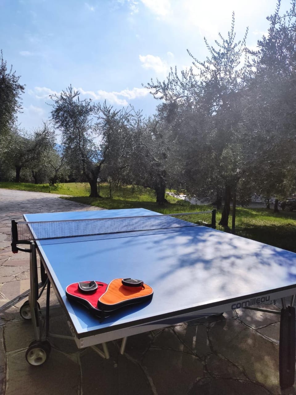 Table tennis