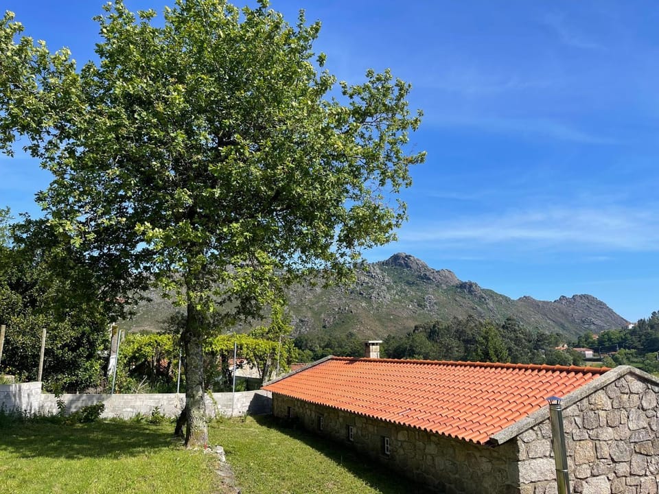 Spring, Day, Natural landscape, Garden, Garden view, Mountain view