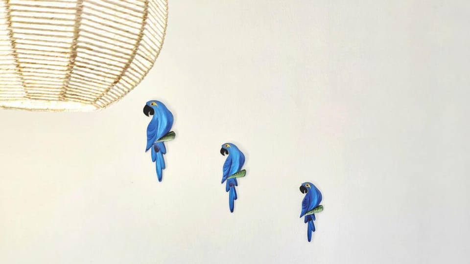 PousaDinháChica Hospedagem perto de Tiradentes e Bichinho House in State of Rio de Janeiro