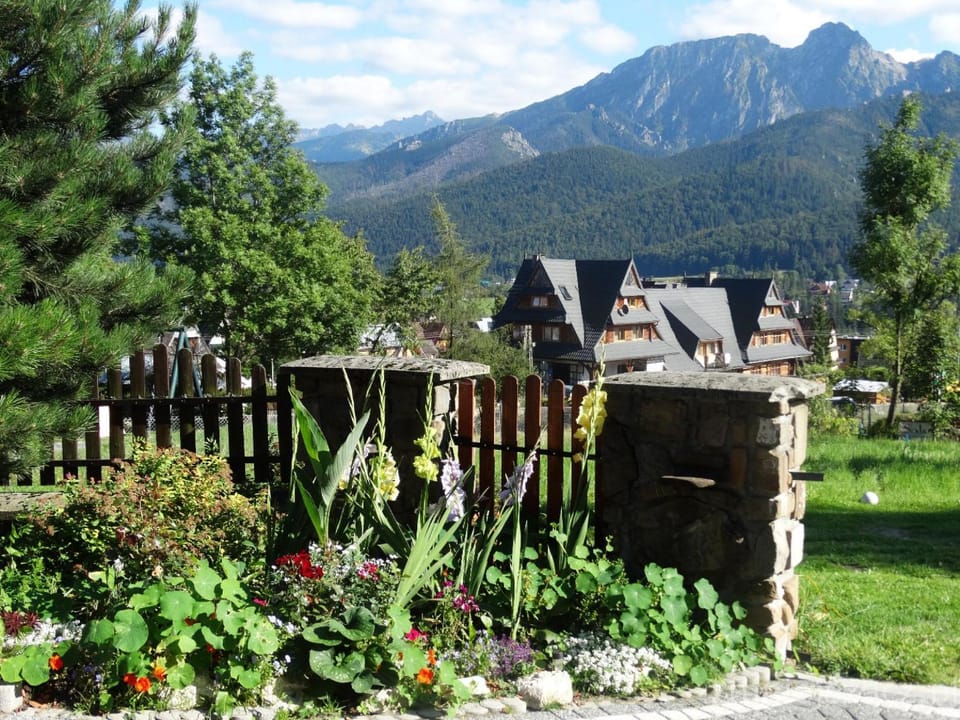 Summer, Mountain view