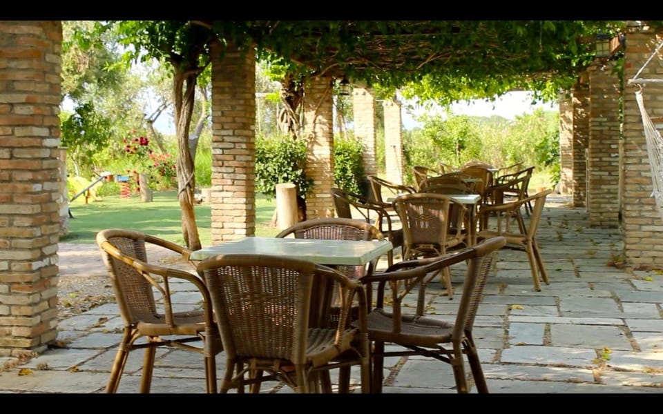 Spring, Summer, Garden, Garden, Decorative detail