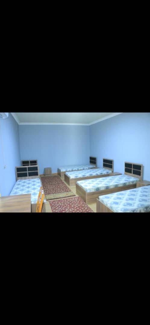 ALI HOSTEL Hostel in Europe