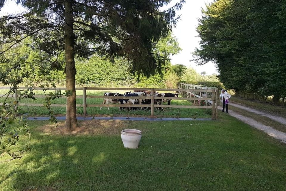 La Bocagère d' Henri House in Normandy