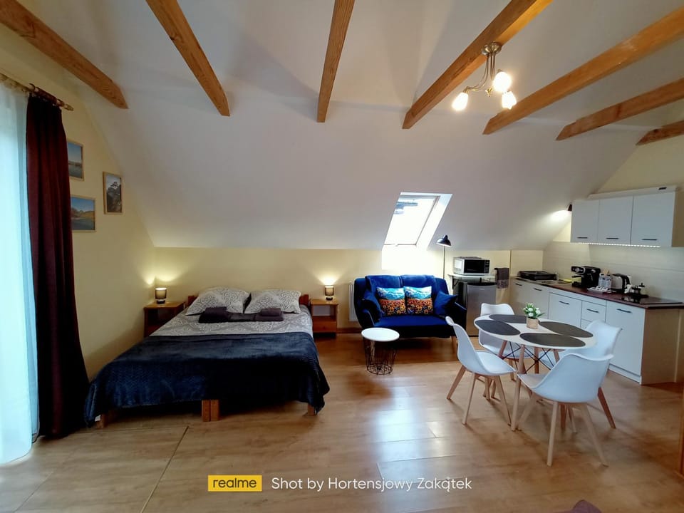 Bed, TV and multimedia, Kitchen or kitchenette, Living room, Photo of the whole room, Seating area, Dining area, Bedroom