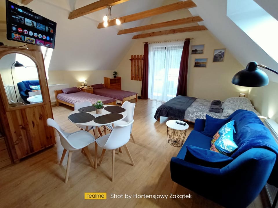 Bed, TV and multimedia, Kitchen or kitchenette, Living room, Photo of the whole room, Seating area, Dining area, Bedroom