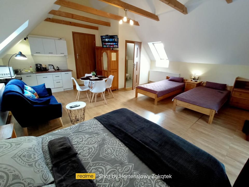 Bed, TV and multimedia, Kitchen or kitchenette, Living room, Photo of the whole room, Seating area, Dining area, Bedroom