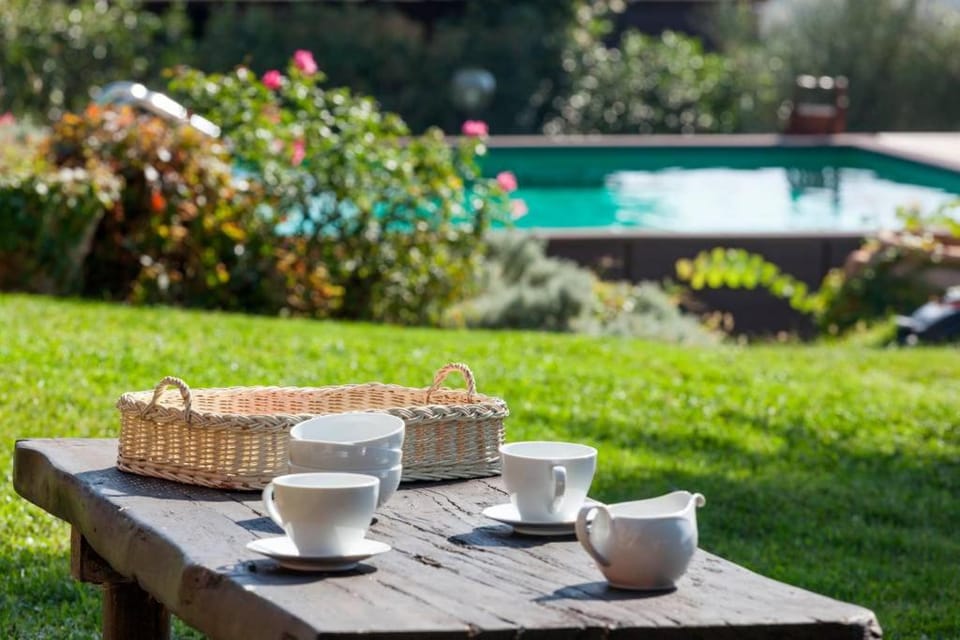 Garden, Swimming pool