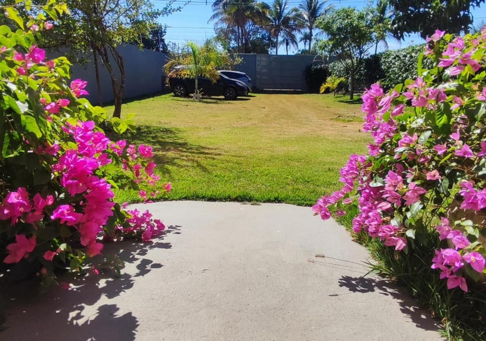 Garden, Garden view