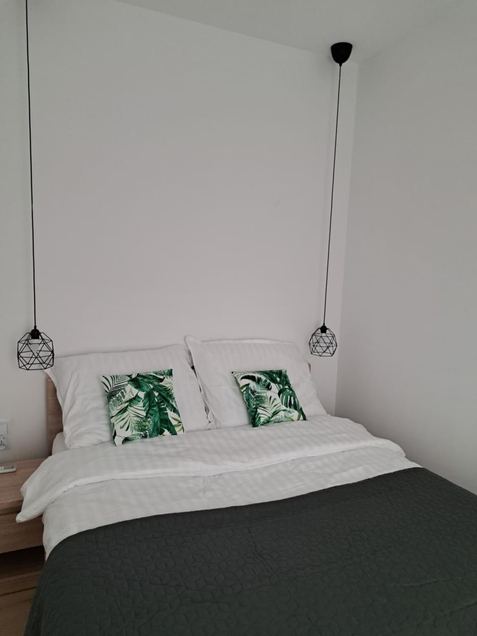 Apartamenty Zielony Liść Apartment in Greater Poland Voivodeship