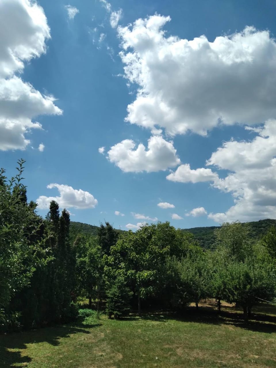 Vila Zvončica Apartment in Vojvodina