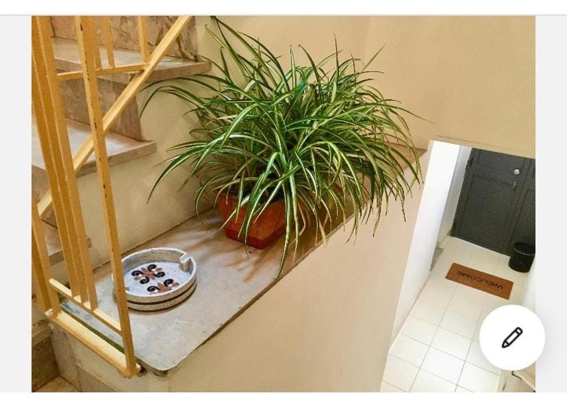 Casa Tanina Apartment in Sicily