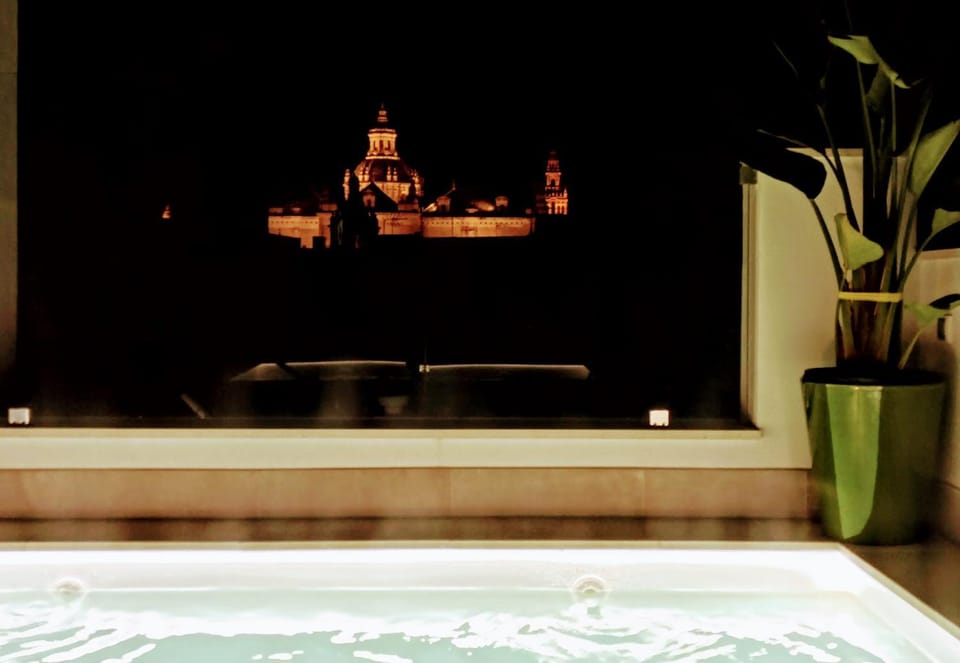 Solarium, City view