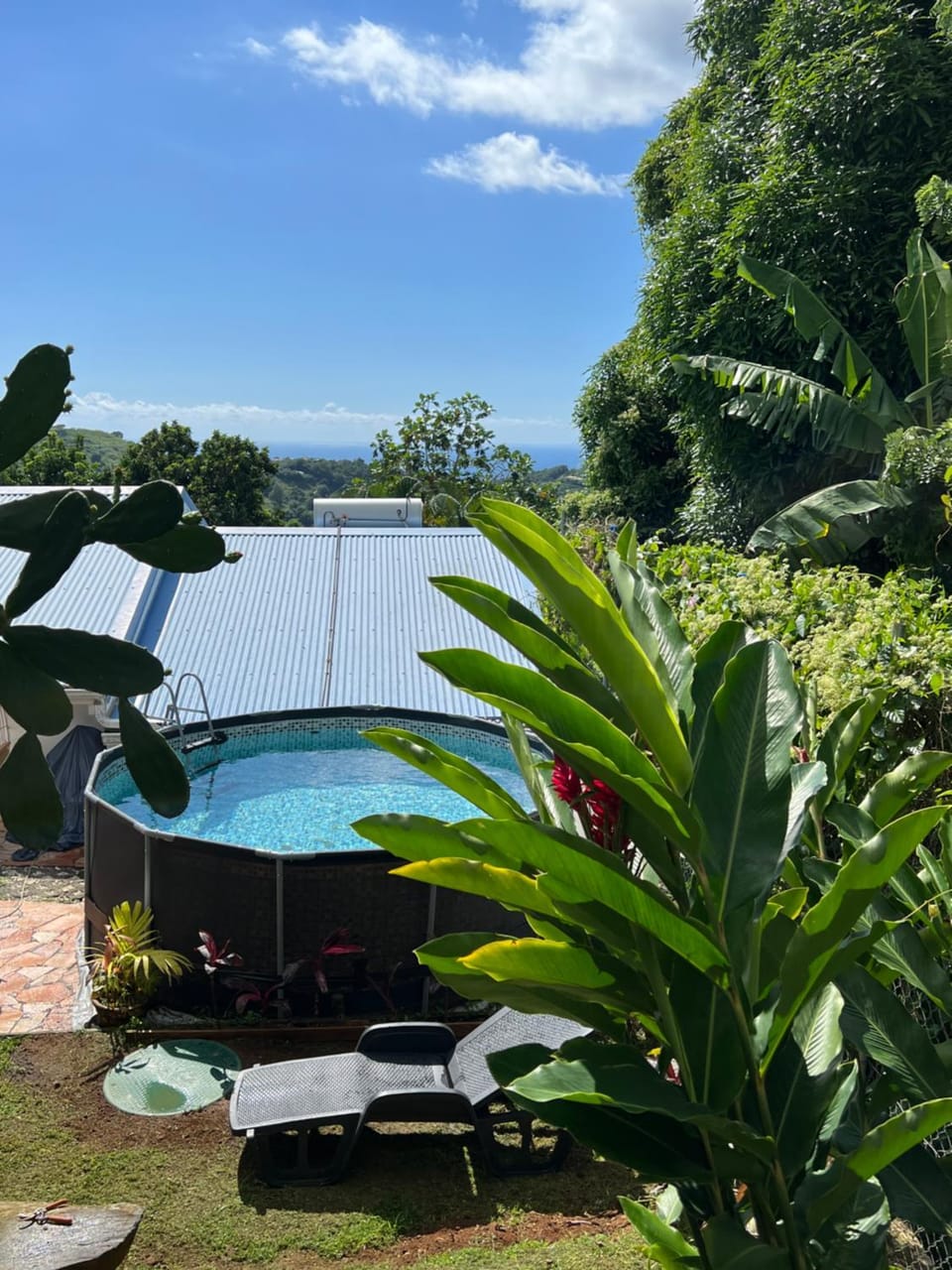 Garden, Pool view, Pool view, Swimming pool, Swimming pool, Swimming pool