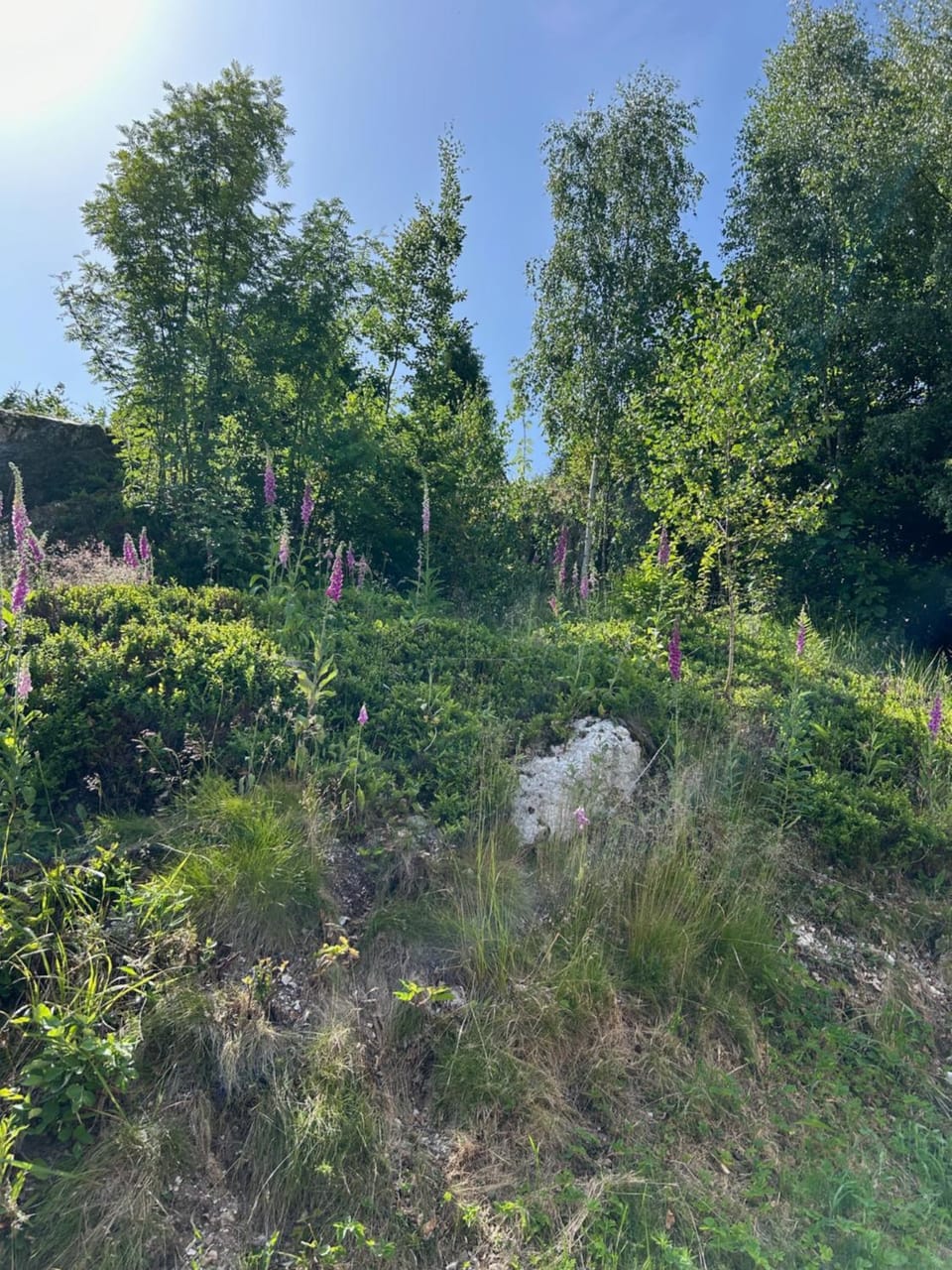 Chaloupka Chalet in Czechia