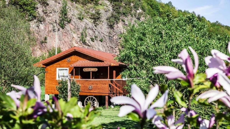Property building, Natural landscape, Garden, Garden view, Mountain view