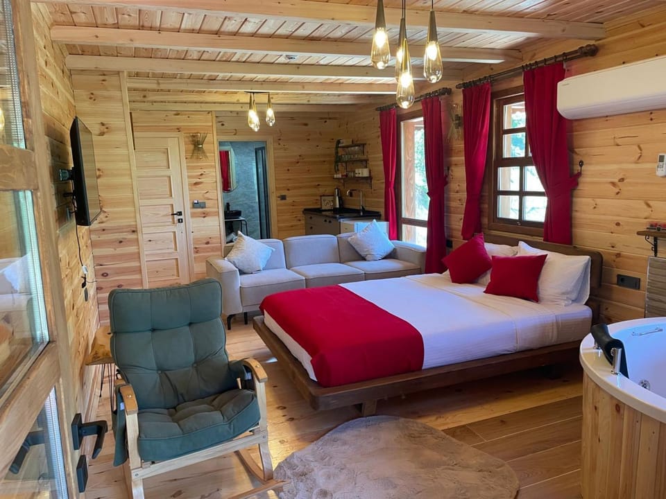 Bed, TV and multimedia, Living room, Bedroom, air conditioner