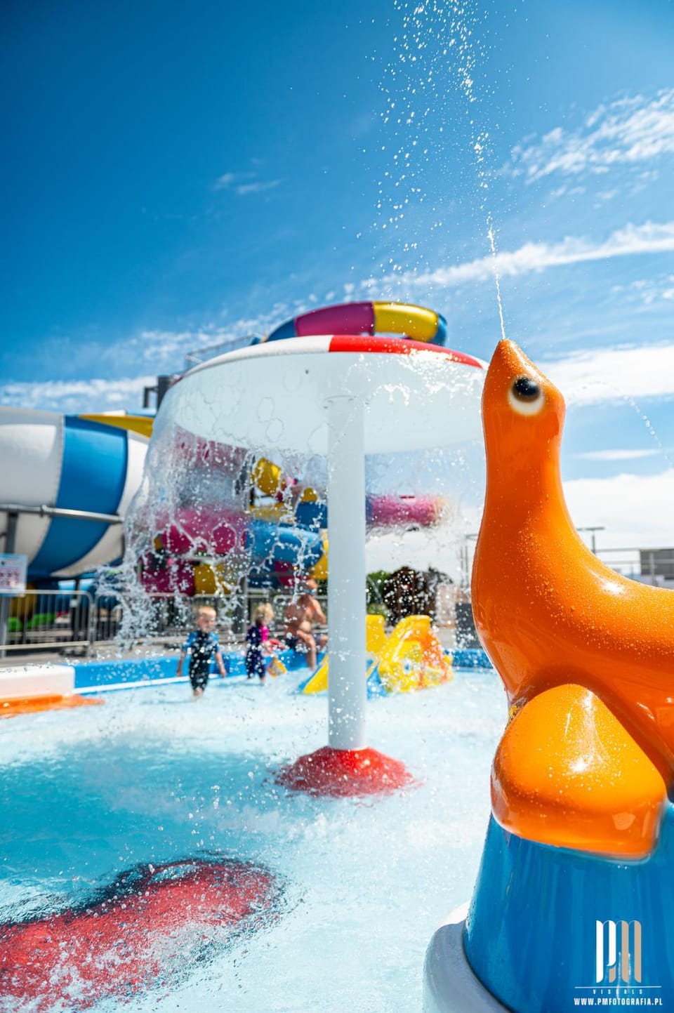 Aqua park, Swimming pool