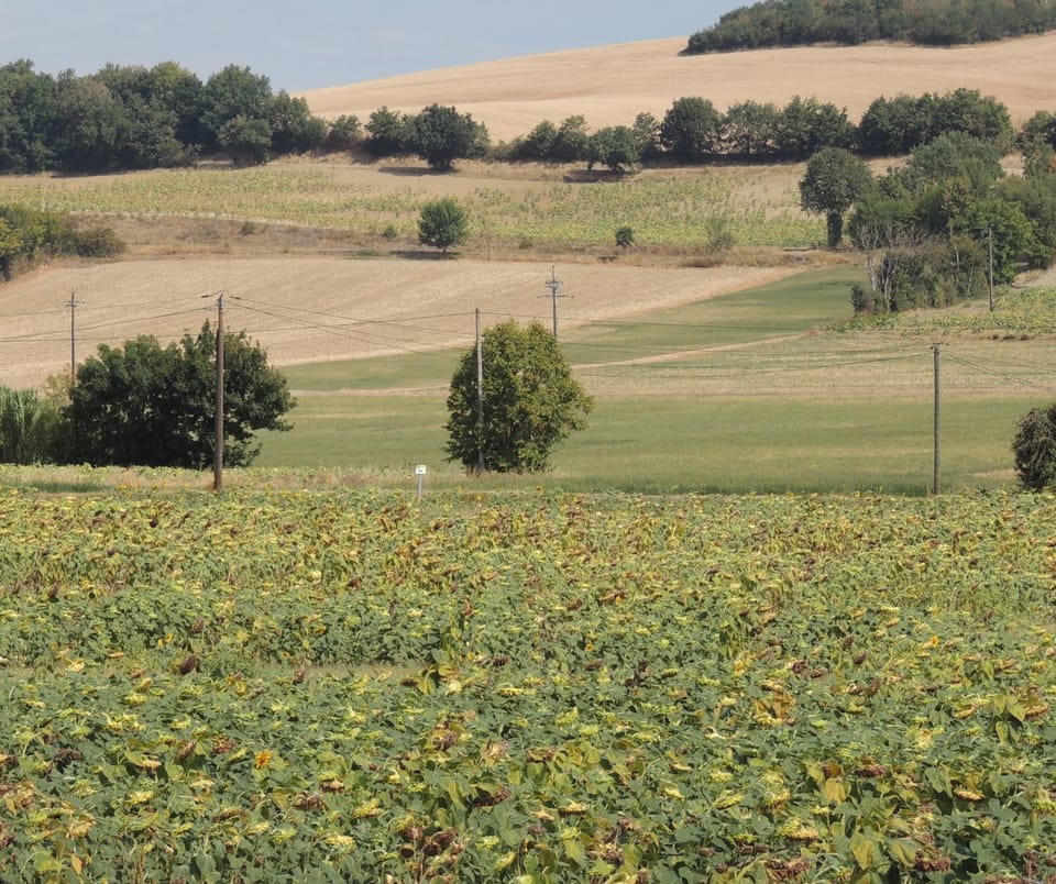 Les treilles d'en Peyre Bed and Breakfast in Occitanie