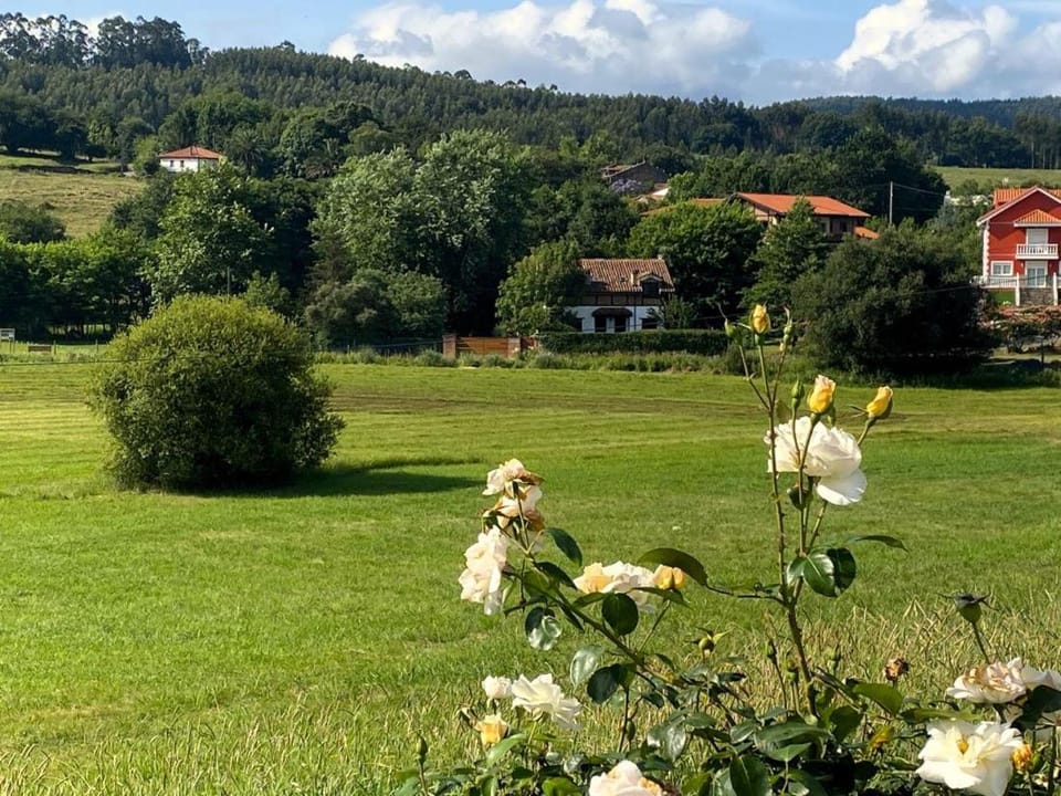 Natural landscape