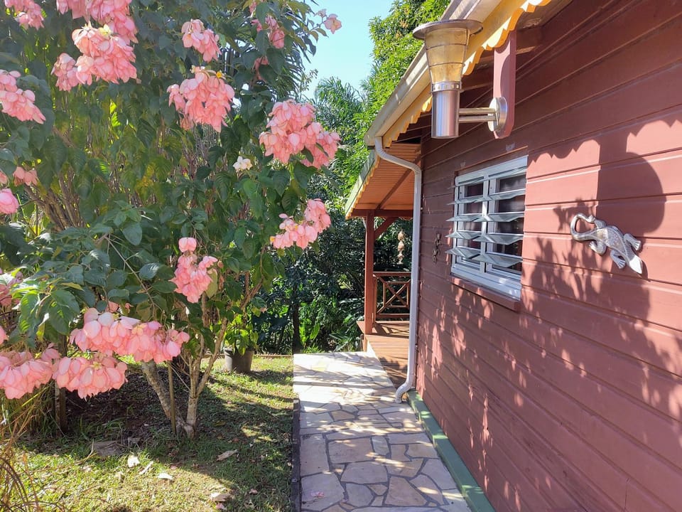 Garden, Garden view