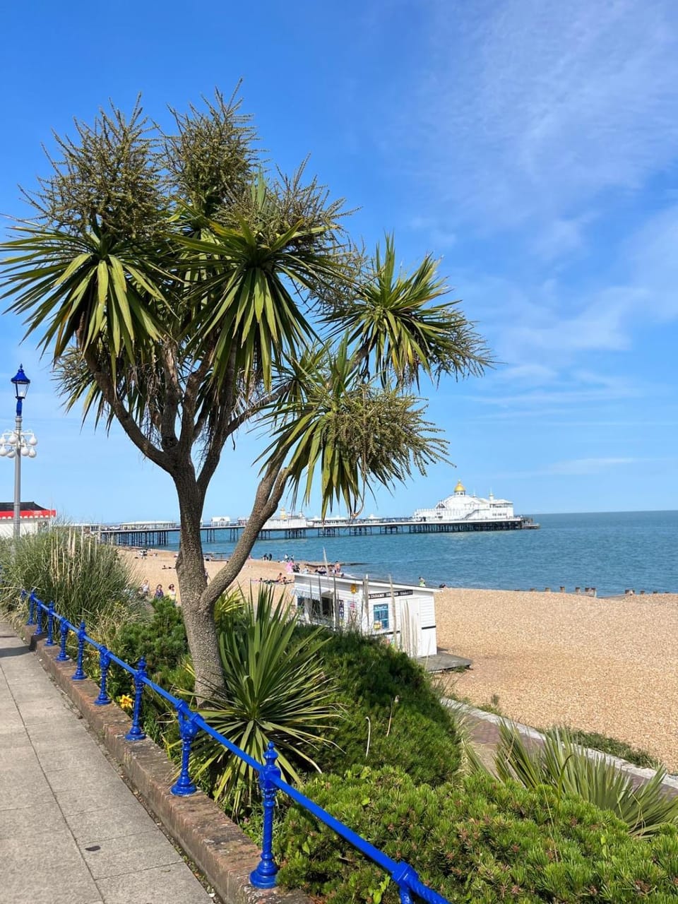 "The Italian" Seafront Apartment Apartment in Eastbourne