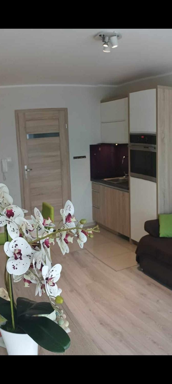 Apartament Zielona Wydma Apartment in Leba