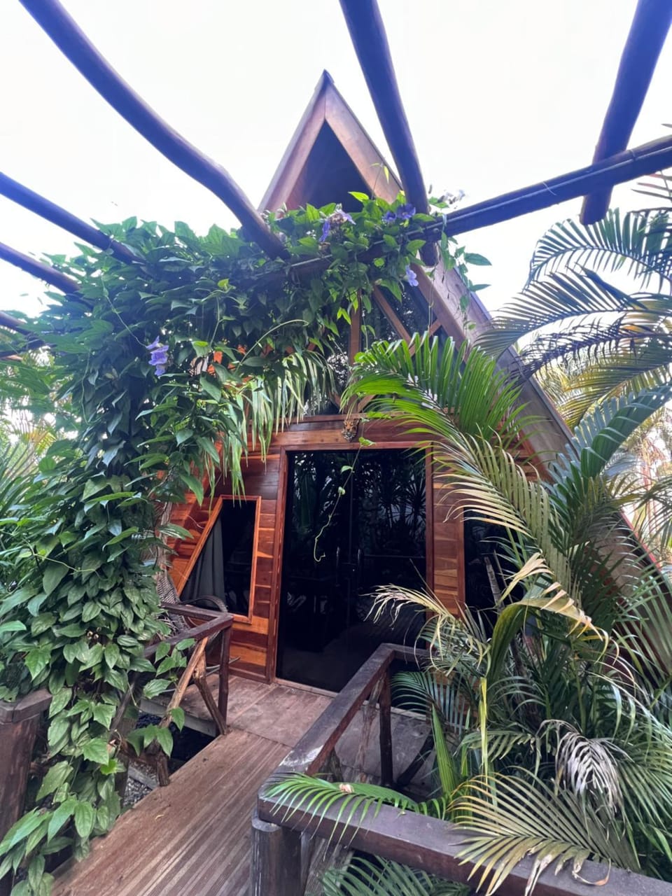 Garden view