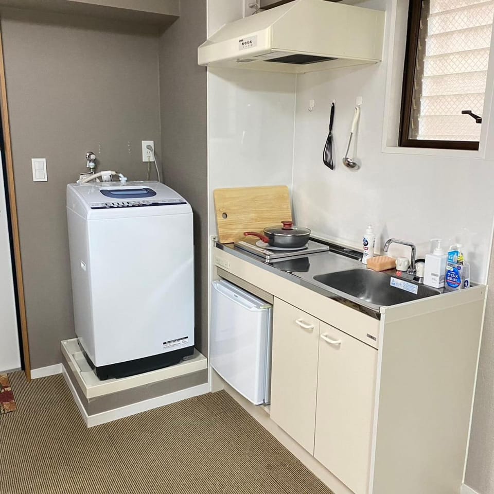 Kitchen or kitchenette, washing machine