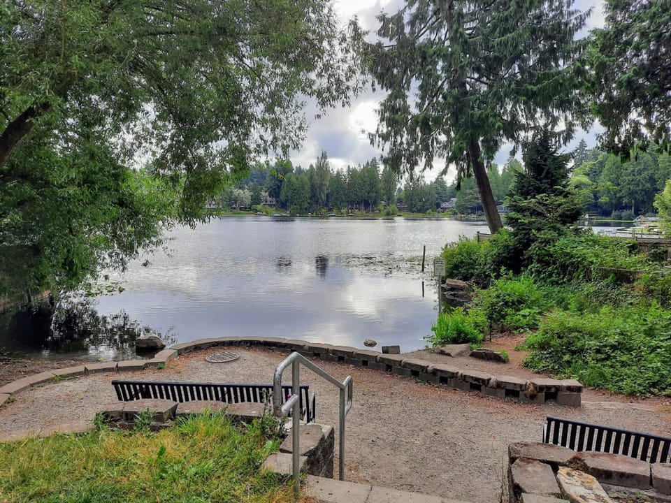 Lake view