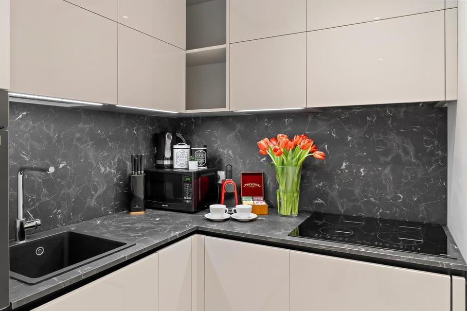 Coffee/tea facilities, Kitchen or kitchenette, minibar, stove