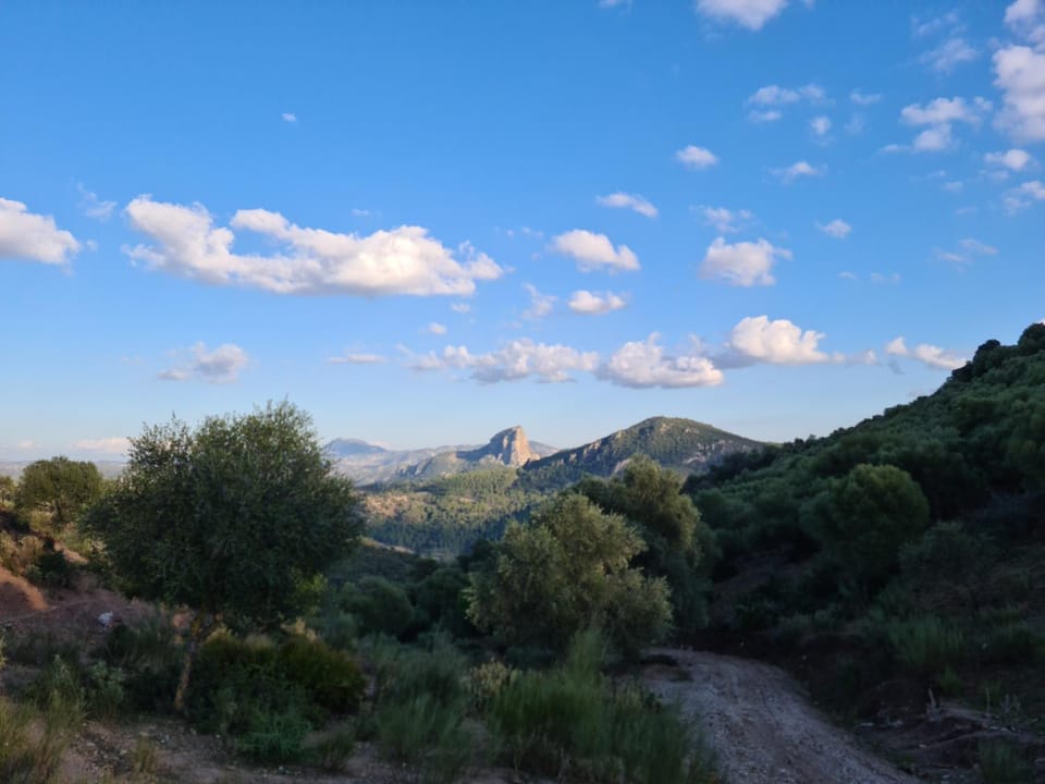 Estación de Coripe Bed and Breakfast in Sierra de Cádiz