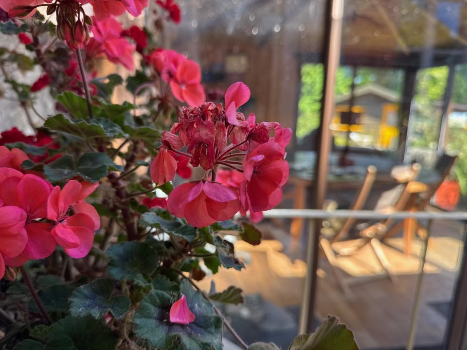 Patio, Balcony/Terrace
