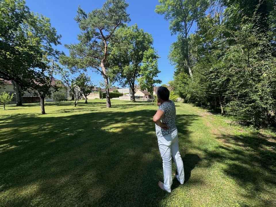 View (from property/room)