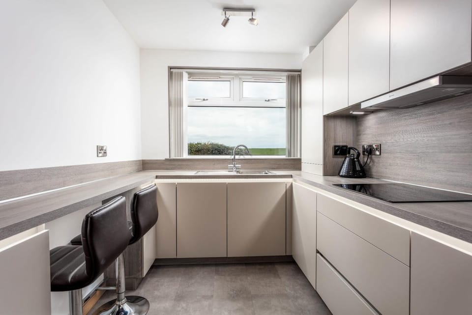 Kitchen or kitchenette, dishwasher, minibar, pet friendly, stove