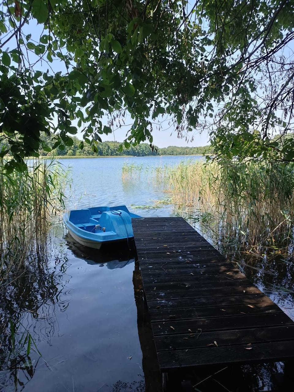 Między Lasem a Wodą House in West Pomeranian Voivodeship, Poland