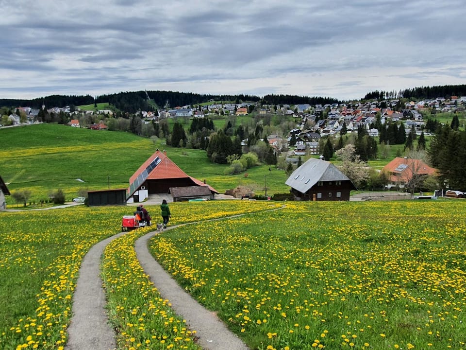 Natural landscape, Hiking