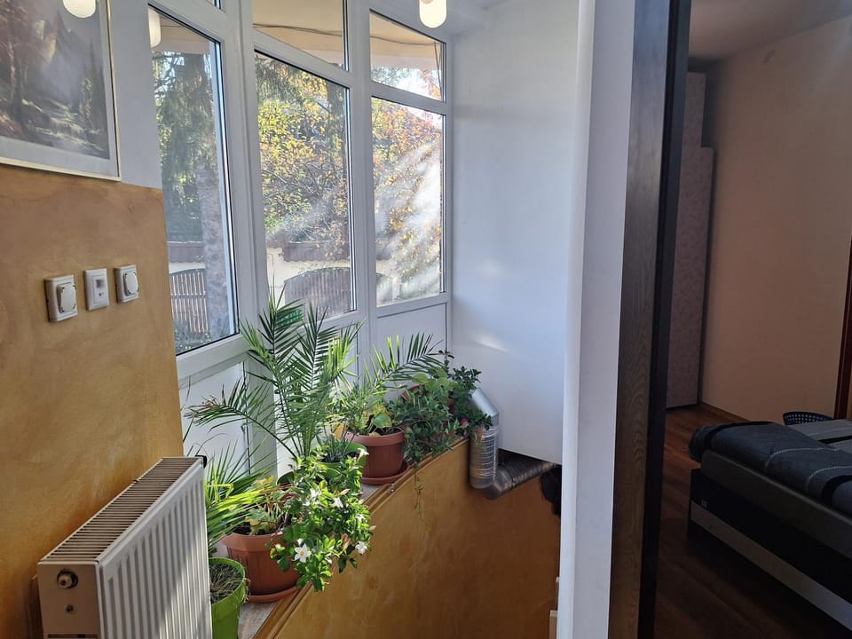 Panoramic Apartment Apartment in Romania