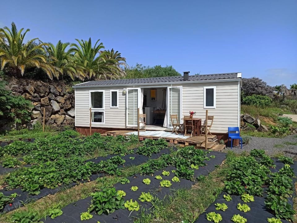 Casitas Mobil Home Campground/ 
RV Resort in La Palma