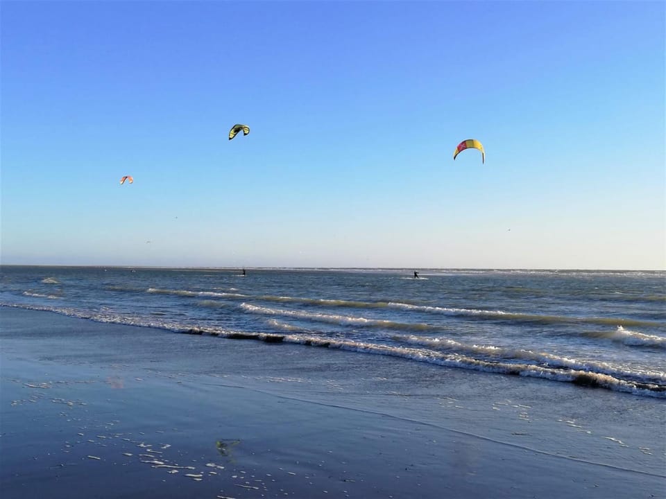 Off site, Natural landscape, Activities, Beach, group of guests